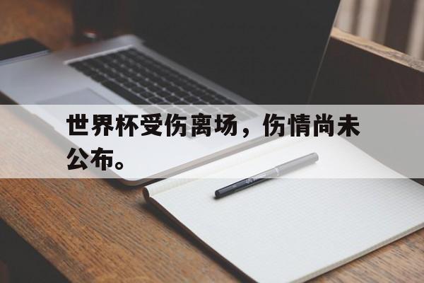 体育直播-世界杯受伤离场，伤情尚未公布。